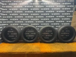 Bridgestone Regno GR-XII