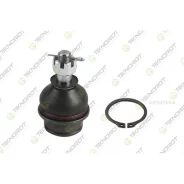 ������� ����� RH/LH. Teknorot N595 Teknorot N595, �����/������ N595 ����