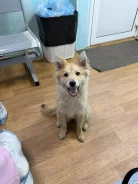 ����� � ������ ���� ����