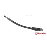 ����� ����. ���. BMW 1,3, X1 2006= Brembo T06032 Brembo T06032 T06032 ����