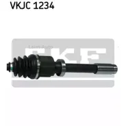 ������ � ����� Laguna II VKJC1234 ����