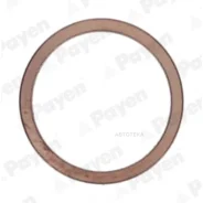 ����������� ������ (����) 22x27x1.5 Payen KG5148 Payen KG5148 KG5148 ����