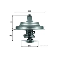 ��������� Mahle TX2571D TX2571D ����