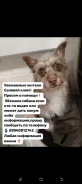 ������. ����