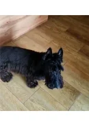 ������. ����
