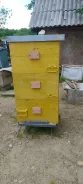 ����. ����