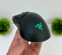 ���� �������. ����