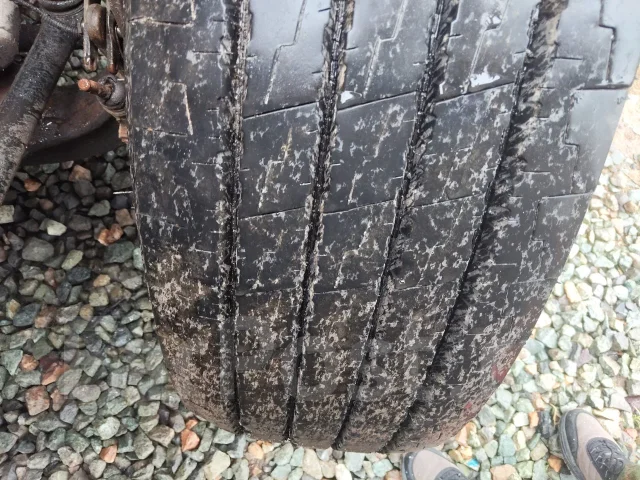 Annaite 366. �����������, 2025 ���, �/�, ����� 20 % ����