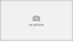 ������� ��������� ���������� | ��� | Trialli GF4586 GF4586 ����