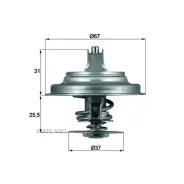 ��������� Mahle TX2571D TX2571D ����