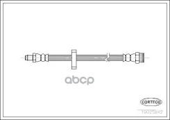 ����� ��������� Corteco ���. 19025842 19025842 ����
