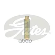 ���������� ������� ��� �������������� Gates ���. t43187 T43187 ����