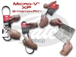 ������ ������������ Gates ���. 6PK691683SF XF 6PK691683SF ����