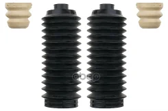 �������� �������� �������� FORD Focus 1998-2004 Standard Springs ���. stp1035 STP1035 ����