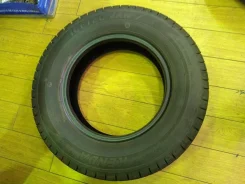 Kenda Icetec Van'z WR01