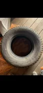 Bridgestone Blizzak DM-V1. ������, ��� �����, �/�, ����� 20 % ����