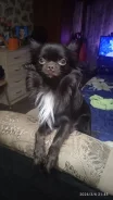 ��������. ����