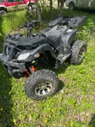 Grizzly 250. ��������, ��� ���\���, �� ����