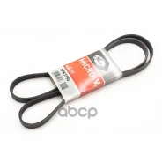 ������ ������������ AUDI A4 1.9TD 00-, A6 1.9TD 00-/ VW Passat 1.9TD 96-00/ SAAB 9000 2.0 85-98 Gates ���. 5PK1590 XF 58412 5PK1590 ����