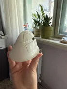 ���� ������������. ����