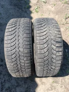 Bridgestone Blizzak Spike-01. ������, ����������, 2019 ���, �/�, ����� 45 % ����