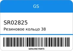 ��������� ������ 38 2.45 GS SR02825 SR02825 ����