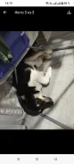 �����. ����