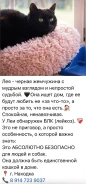 �����. ����