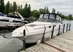 Chaparral. 2004 ���, ����� 7,3��., 280��.�., ������ ����