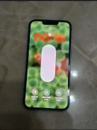 Apple iPhone 13. �/�, 128 ��, �����, 3G, Dual-SIM ����