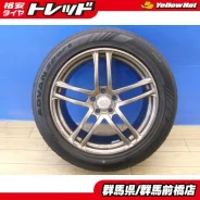 AVS Model T5