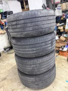 ZMax Zealion. ������, 2023 ���, �/�, ����� 50 % ����