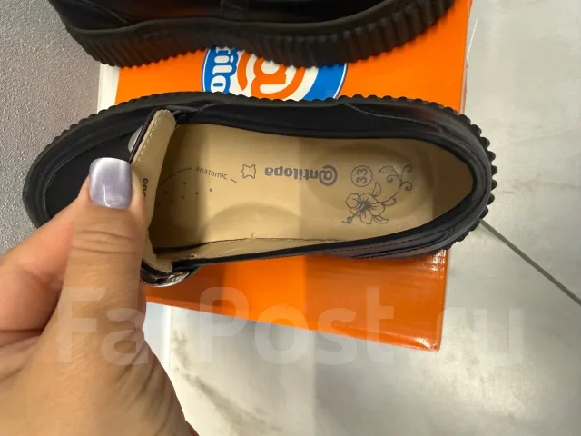 �����. 33 ����