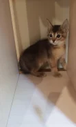 �����. ����