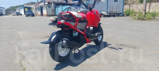 Honda Zoomer. 49����. ��., ��������, ���������, ��� ������� ����