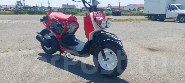 Honda Zoomer. 49����. ��., ��������, ���������, ��� ������� ����