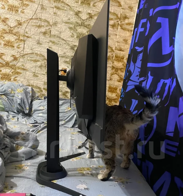 Aorus. 27", ���������� OLED ����