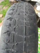 Continental. �����������, �/�, ����� 50 % ����