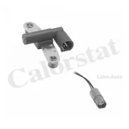 ������ ��������� ��������� Renault Clio II/Kangoo (KC0/1_) 1.4/1.6 97-09 CS0257 ����