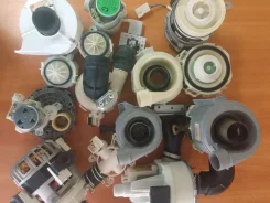 ������, �����. ����