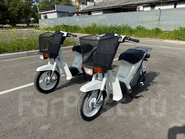 Suzuki Mollet. 50����. ��., ��������, ���������, ��� ������� ����