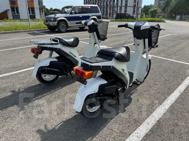 Suzuki Mollet. 50����. ��., ��������, ���������, ��� ������� ����