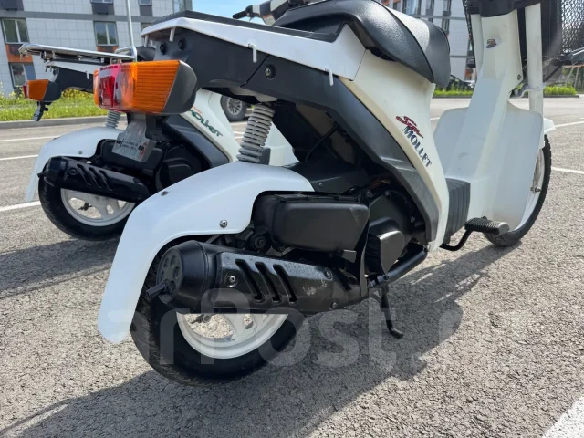Suzuki Mollet. 50����. ��., ��������, ���������, ��� ������� ����
