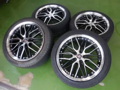 Kyoho Steiner LMX