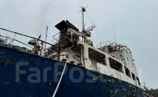 ������� �������� Diana, IMO 8810516, 2837 DWT, ����������� ����