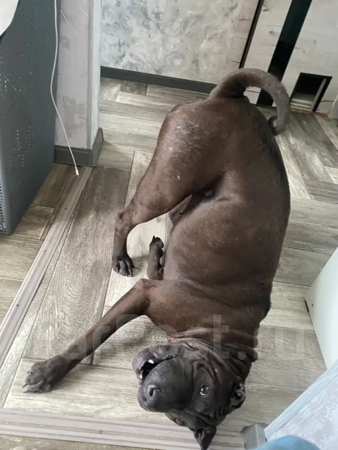 ������. ����