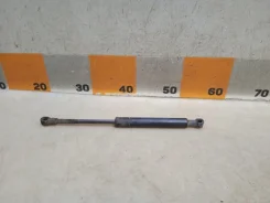 ����������� ��������� Ford Focus 2001 XS41F406A10AF 1 2.0 XS41F406A10AF ����