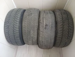 Triangle WinterX TW401. ������, ��� �����, 2021 ���, �/�, ����� 45 % ����