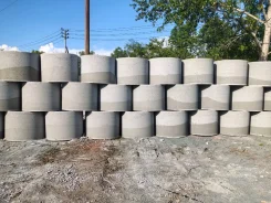 ������ ��������������. ����