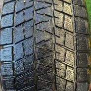 Bridgestone Blizzak DM-V1